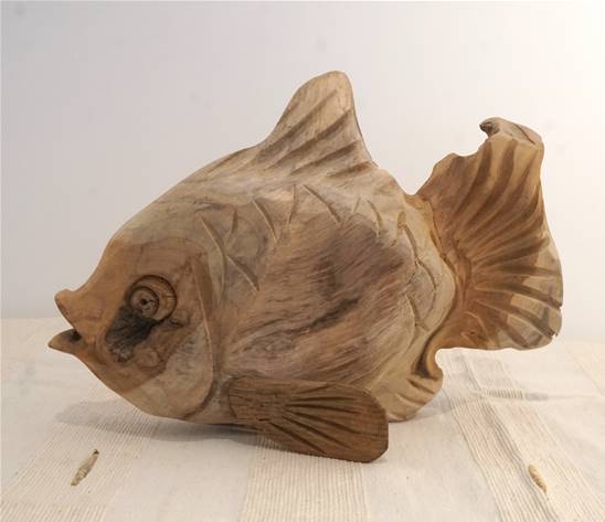 POISSON TECK 30CM