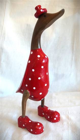 Canard rouge pois blanc